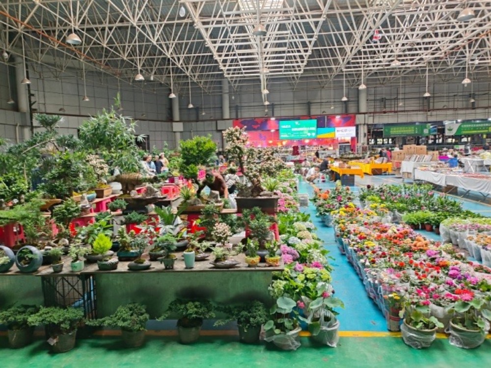 Flower and Bird Market