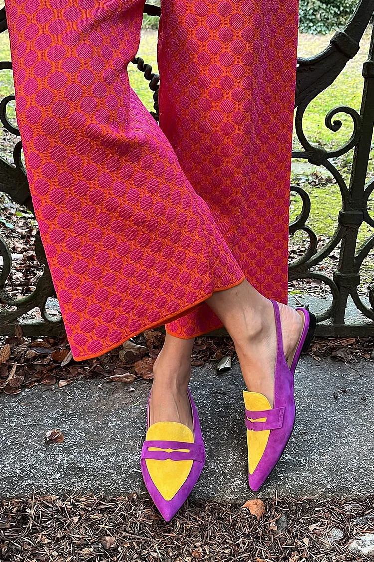 Matte Finish Colorblock Pointed Toe Vintage Slingback Flats