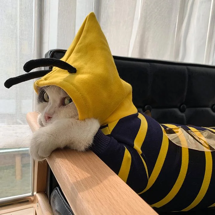 Bee Shaped Pet Sweater丨Small Dogs Kitten Clothes Male and Female, High Stretch, Soft, Warm 1