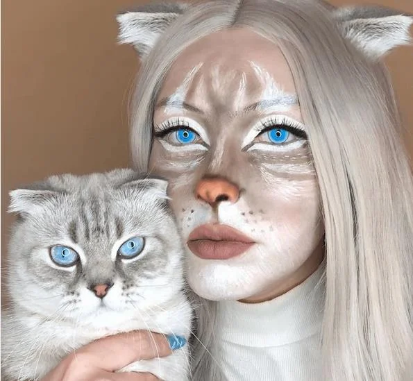 Aprileye Ragdoll Cat Blue