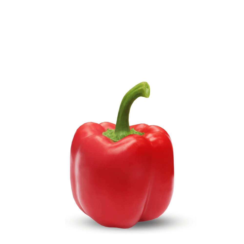 Heirloom Red Capsicum Seeds – Exotic Sweet Pepper