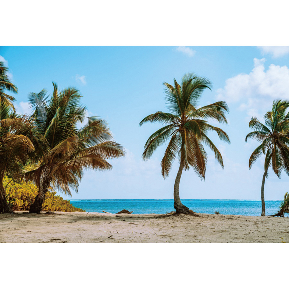 Beach Coconut Trees Photoshoot Background Cloth Backdrop Photography Props, 501 Original
Beach Coconut Trees Photoshoot Background Cloth Backdrop Photography Props, 501 Original