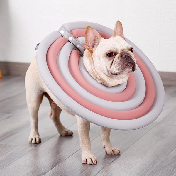 Dog & Cat Elizabethan Surgery Recovery Collar