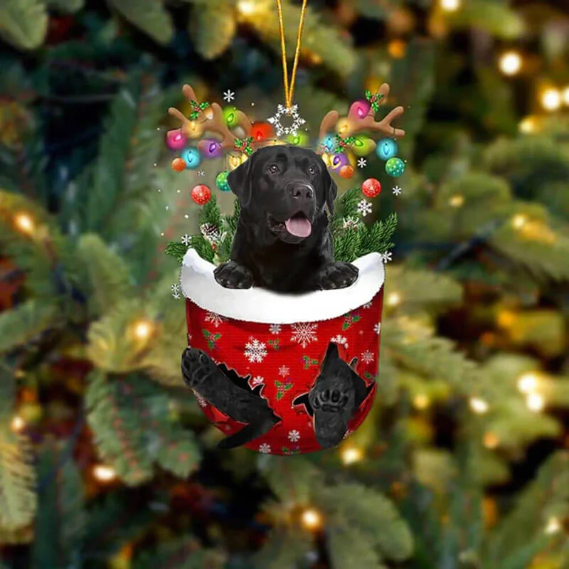 VigorDaily Black Labrador Retriever In Snow Pocket Christmas Ornament SP001