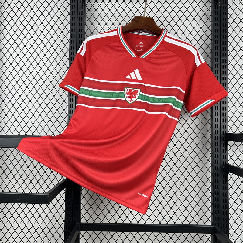 2026 World Cup Wales Soccer Jersey Home 1:1 Thai Quality