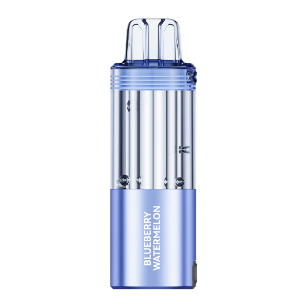 Blueberry Watermelon | Foger Switch Pro 30K Puffs Replacement Pod Best Vape