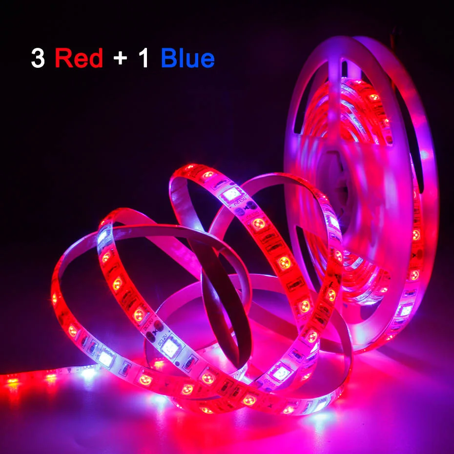 Plant Grow lights 1m 2m 3m 4m 5m Waterproof Full Spectrum LED Strip Flower phyto lamp Red blue 4:1 for Greenhouse Hydroponic