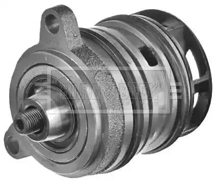 Dronehint Water Pump Kit BWP2136 by Borg and Beck OE Parts