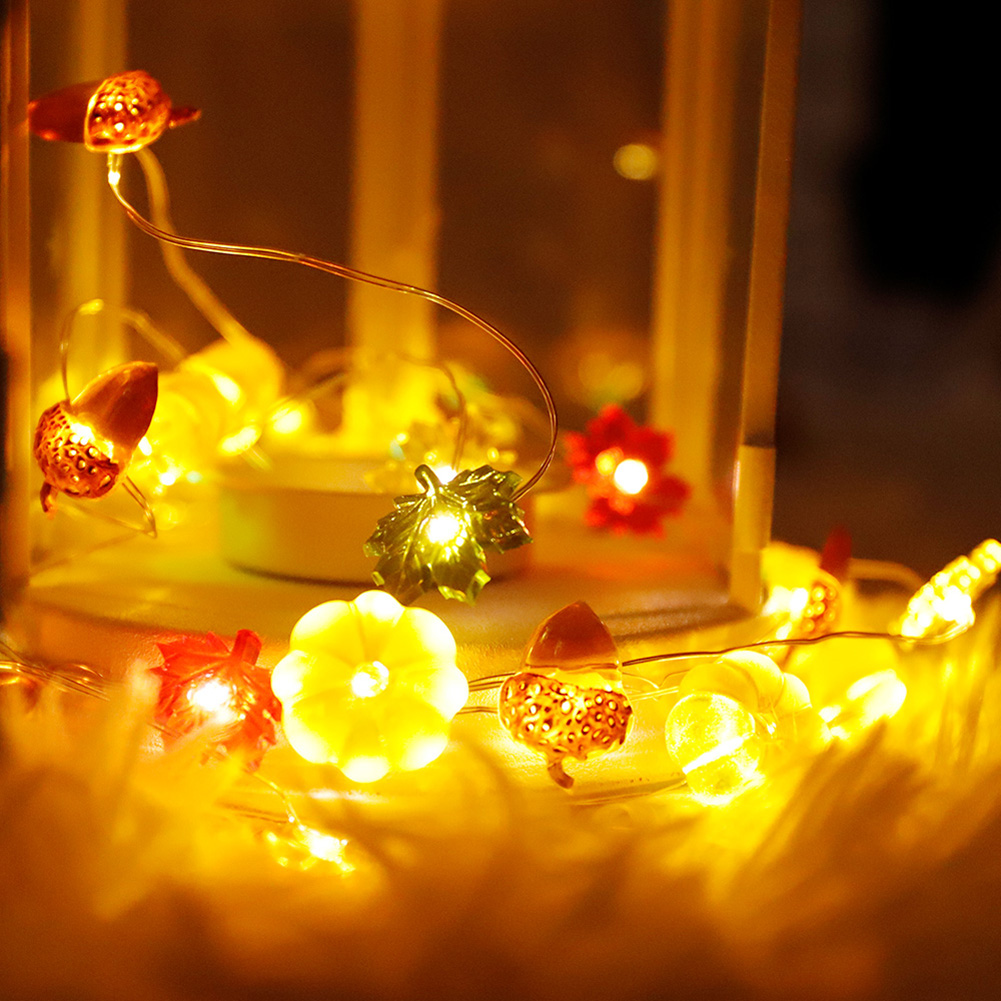 Autumn LED Pumpkin Fairy Thanksgiving Halloween-Curtain String Night Light, 501 Original
Autumn LED Pumpkin Fairy Thanksgiving Halloween-Curtain String Night Light, 501 Original