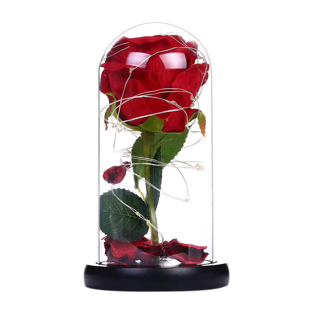 20LED Lights Flower in Glass Dome Copper Wire Lamp for Valentine Gift (S), 501 Original
20LED Lights Flower in Glass Dome Copper Wire Lamp for Valentine Gift (S), 501 Original