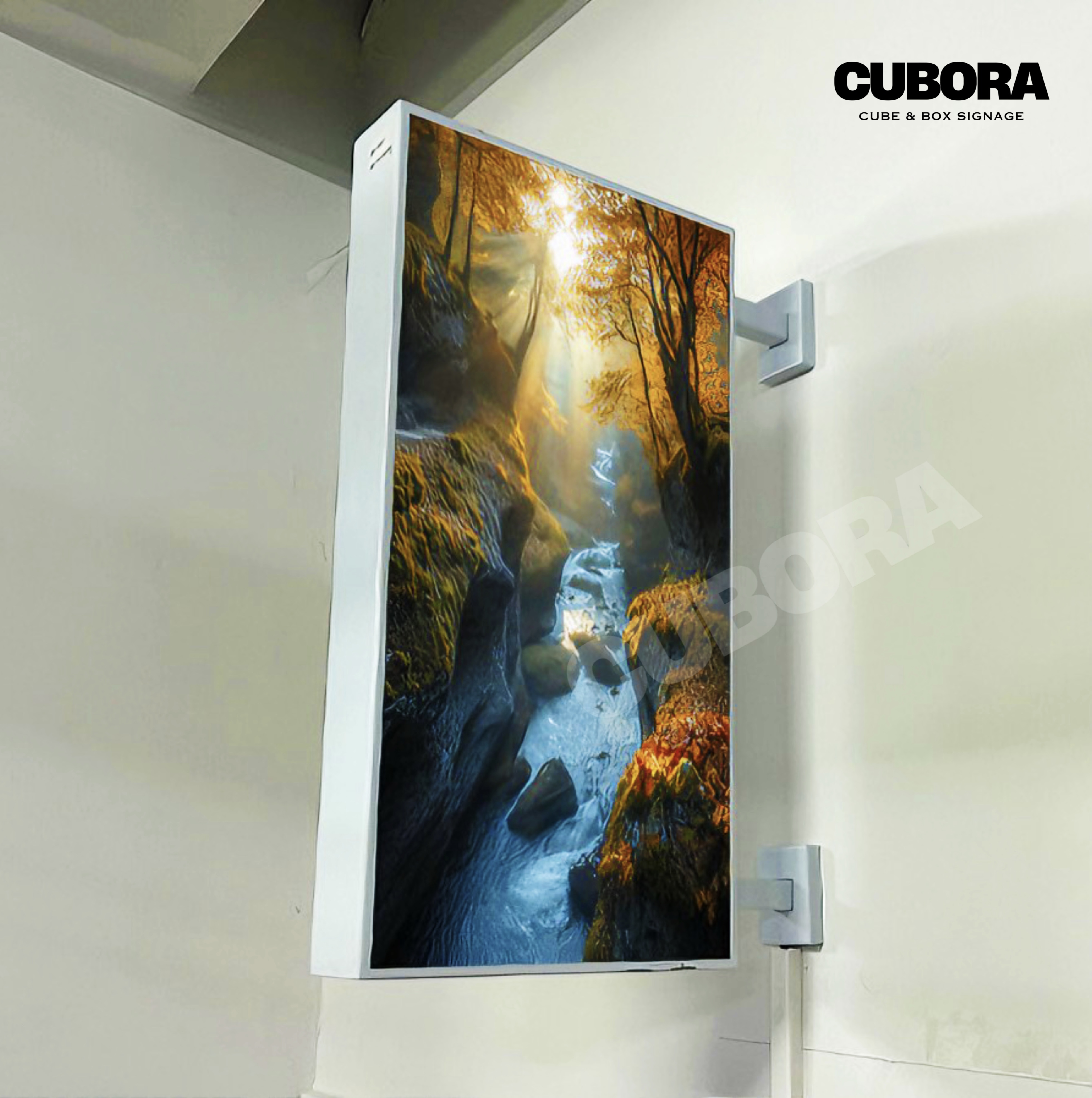 Cubora 018