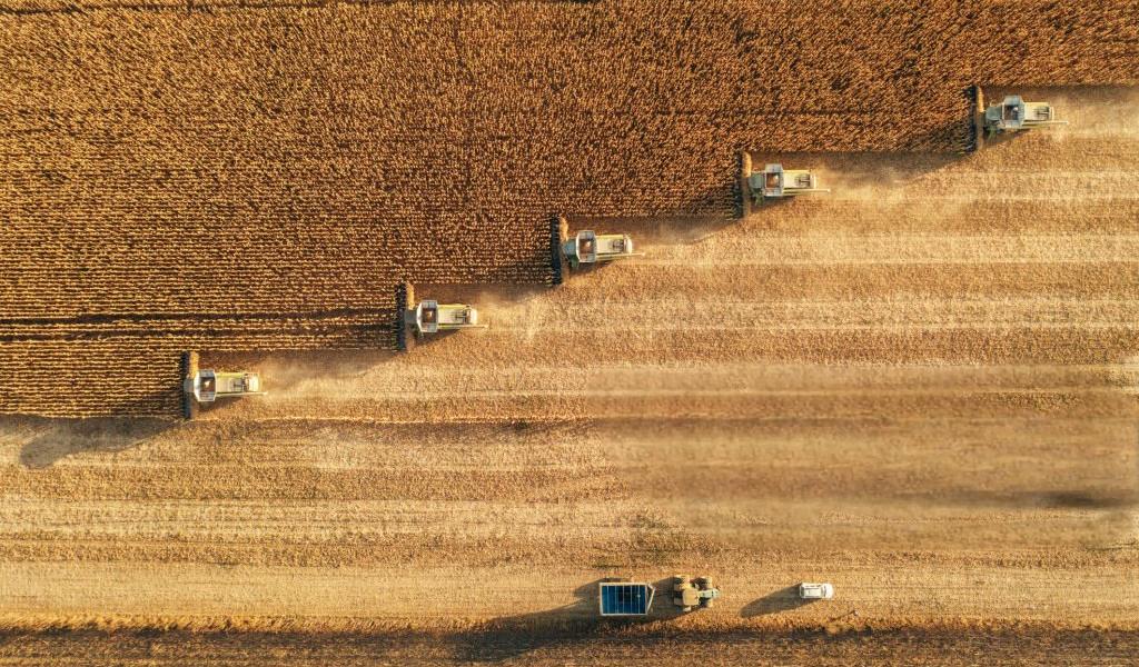 Self-propelled silage forage harvester