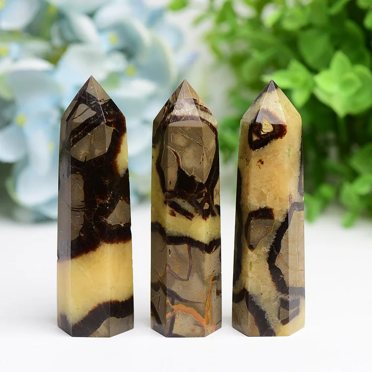 2.5"-4.5" Septarian  Septarium Crystal Points Towers