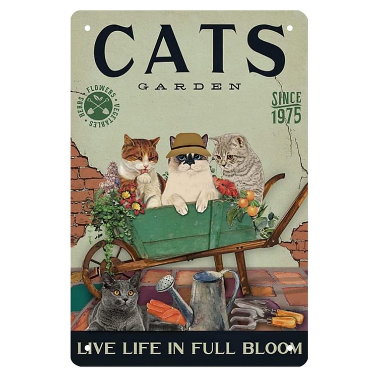 Cats - Vintage Tin Signs/Wooden Signs - 20*30cm/30*40cm