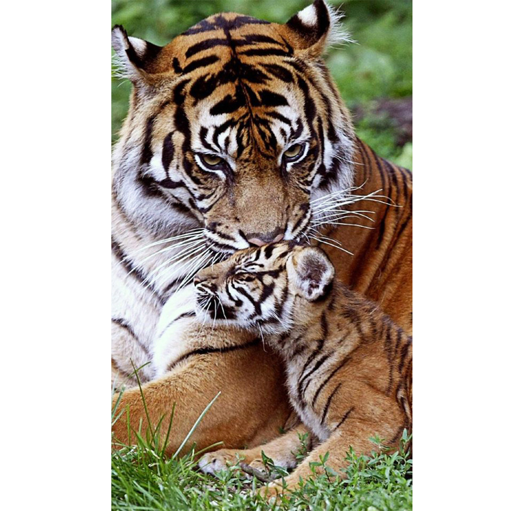 Tiger Mom and Son - Round Drill Diamond Painting - 40*70CM (Big Size), 501 Original
Tiger Mom and Son - Round Drill Diamond Painting - 40*70CM (Big Size), 501 Original
