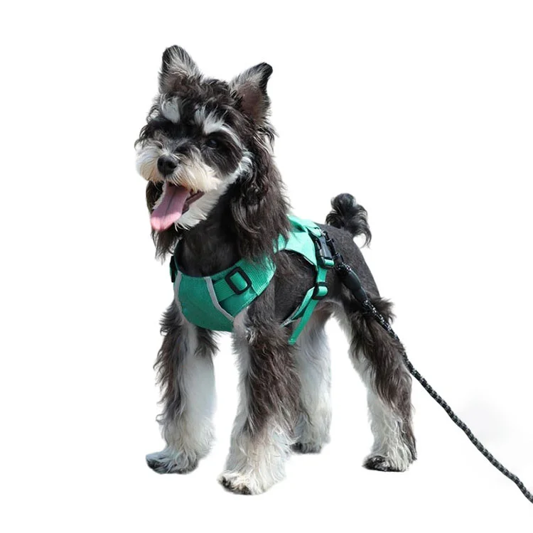 3 in 1 Dog Harness with Built-in Retractable Leash
