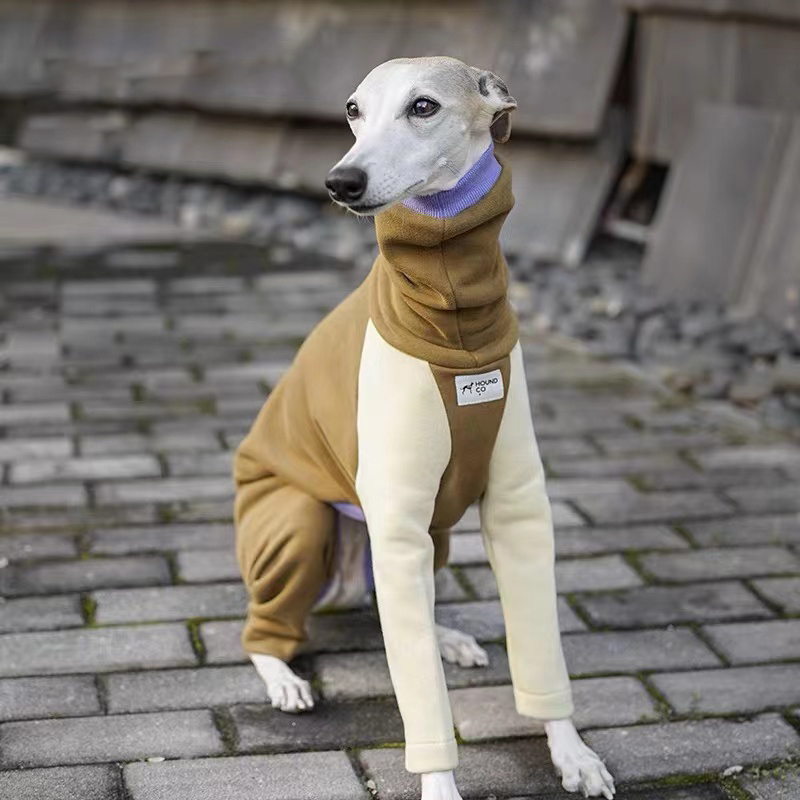 Italian Greyhound Long Sleeve Fleeced Sweatshirt roarxlpet