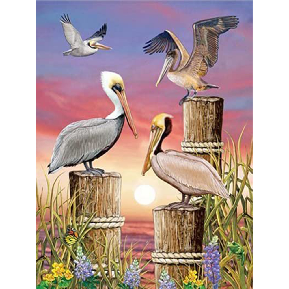 Seagull - Round Drill Diamond Painting - 30*40CM, Round diamond 30*40cm, 501 Original
Seagull - Round Drill Diamond Painting - 30*40CM, Round diamond 30*40cm, 501 Original
