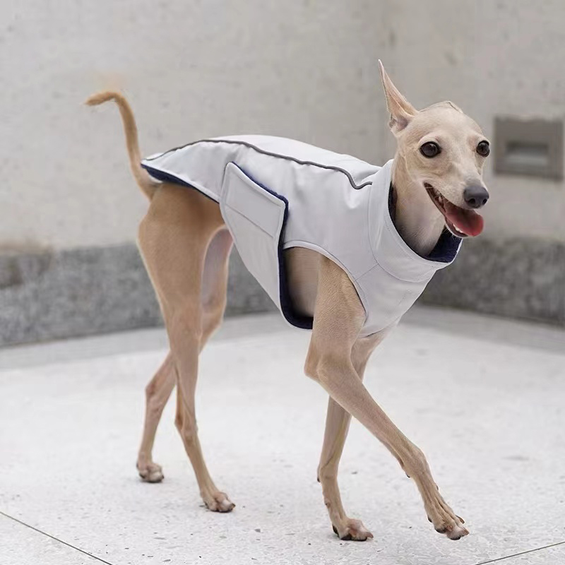 Dog Jacket for Italian Greyhound Water Proof with Warm Fleece roarxlpet