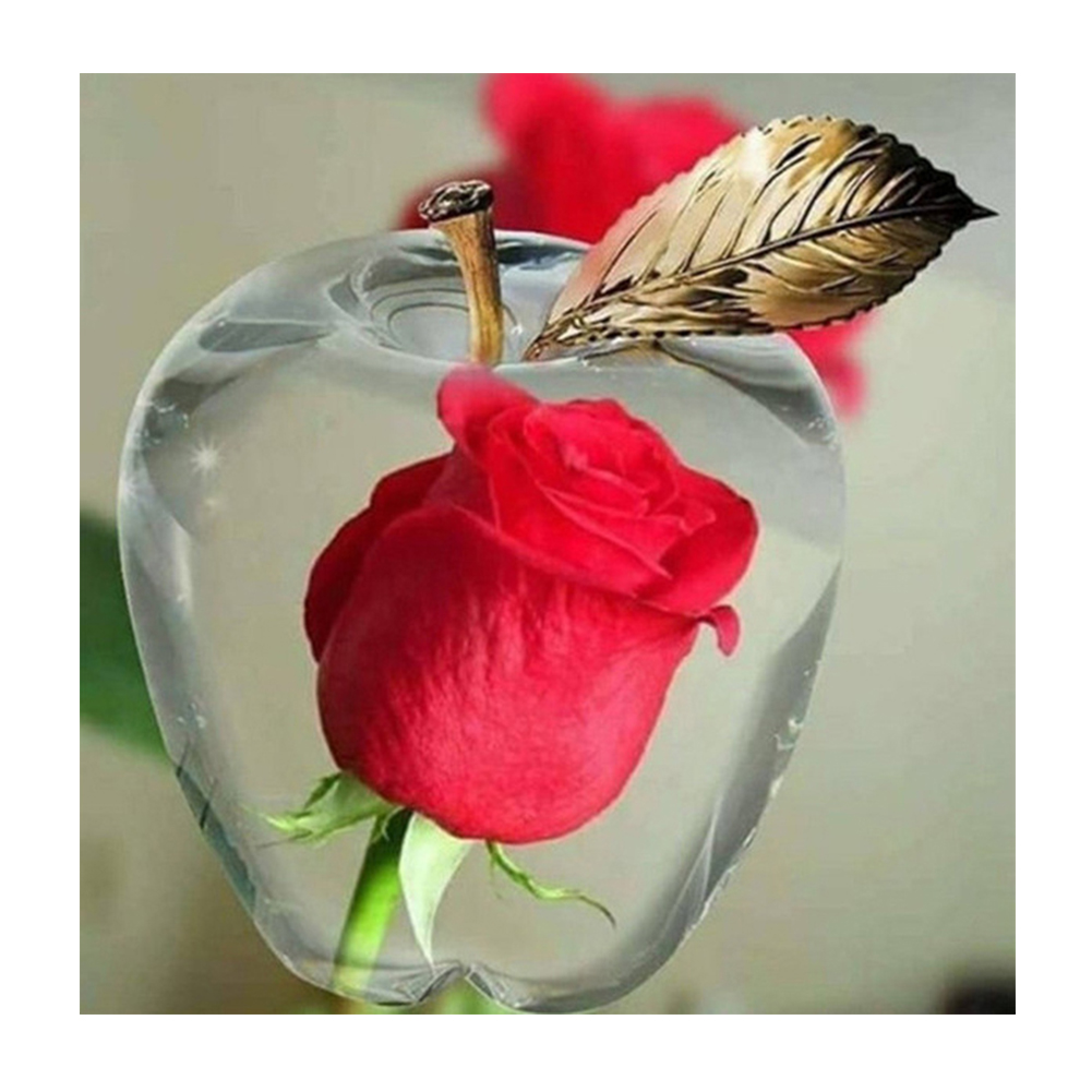 Scenery View in Apple - Round Drill Diamond Painting - 30*30CM, 501 Original
Scenery View in Apple - Round Drill Diamond Painting - 30*30CM, 501 Original