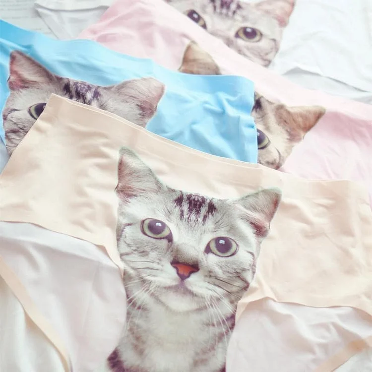 5 Colors Kitty in my Undies XD SP164915