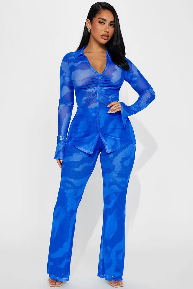V Neck Ruched Long Sleeve Top Mesh Print Pants Matching Set