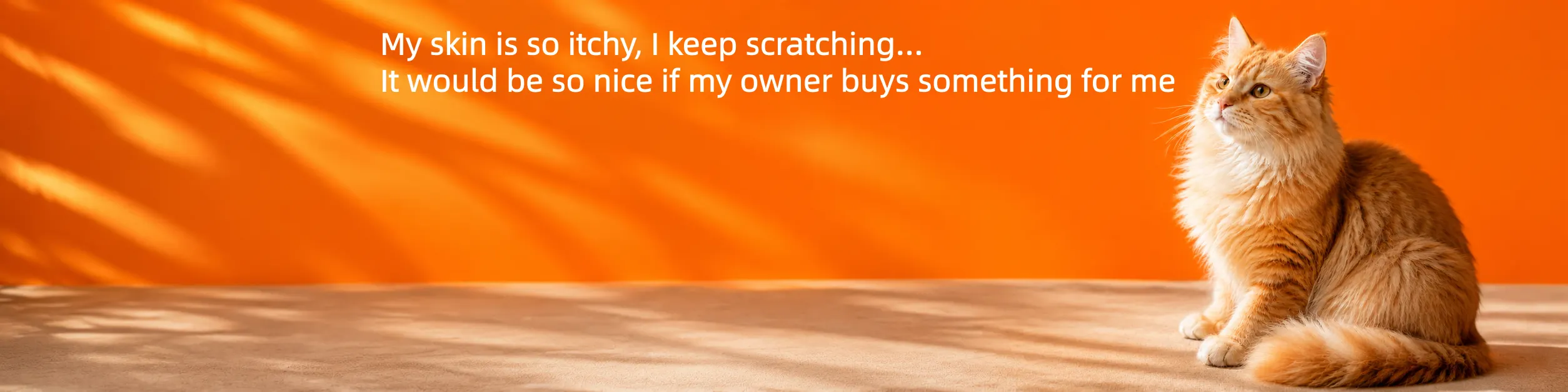 My ears feel uncomfortable and my eyes are a bit watery… Will my owner buy it for me?