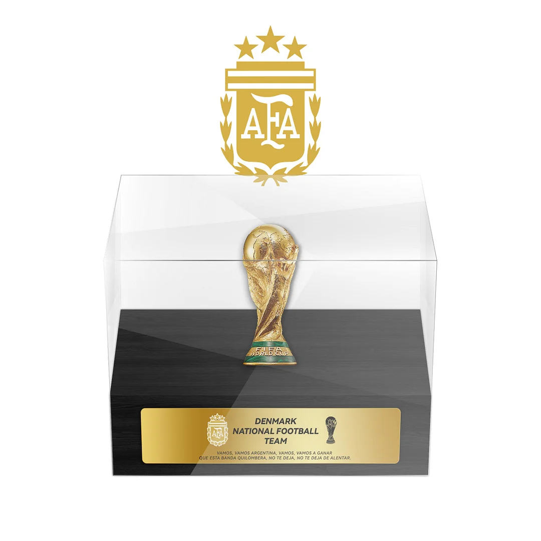 Argentina National Football Team Football Trophy Dispaly Case