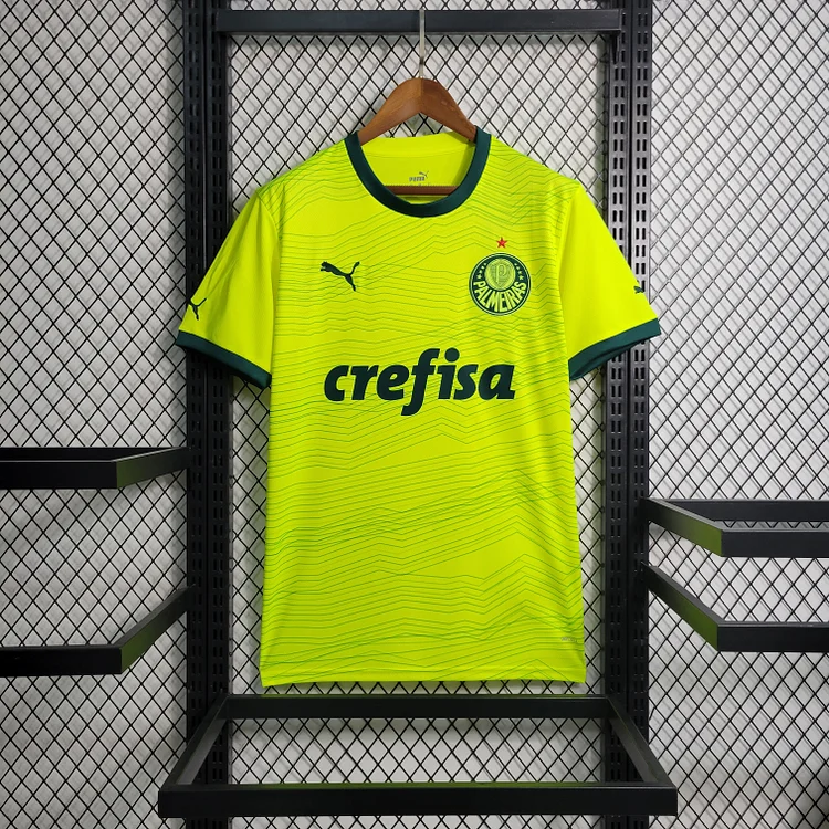 Palmeiras Third Shirt Top Kit 2023-2024