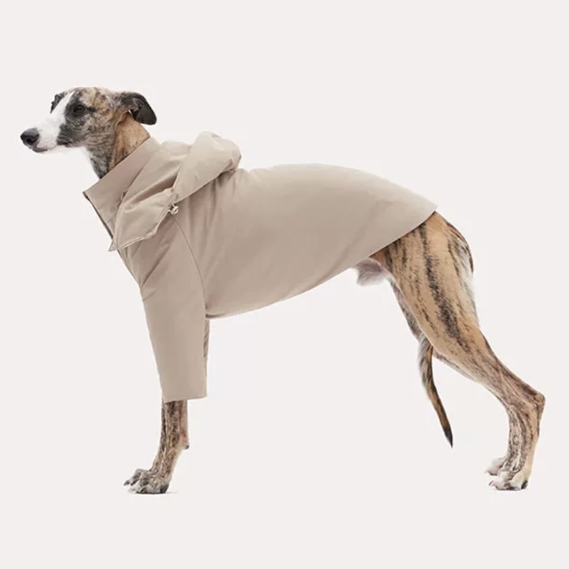 Luxury Italian Greyhound Detachable Down Jacket roarxlpet