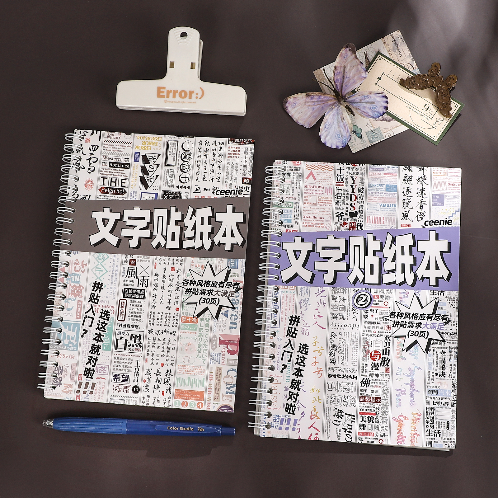 30 Sheets Vintage Chinese Text Landscape PET Sticker Book