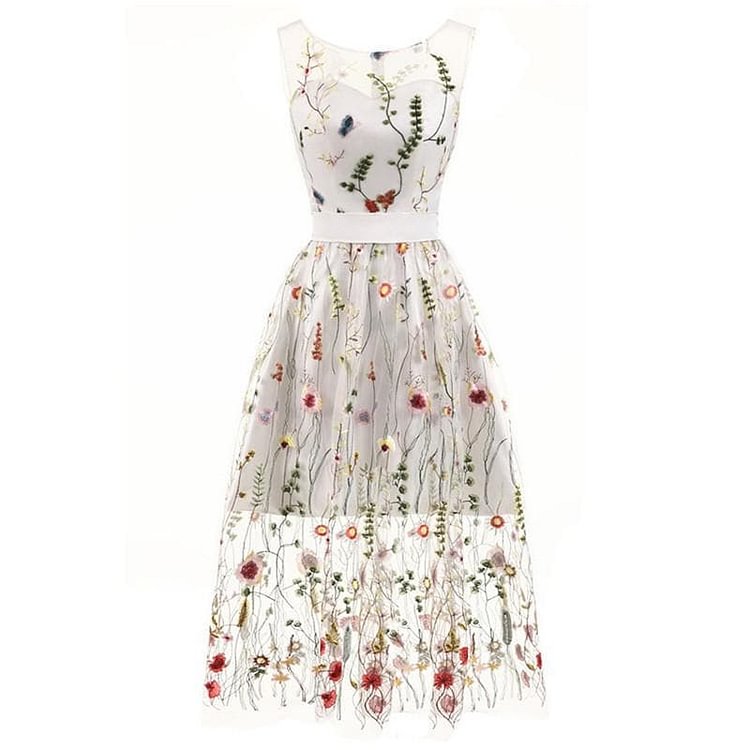 Vintage Floral Lace Embroidery Dress