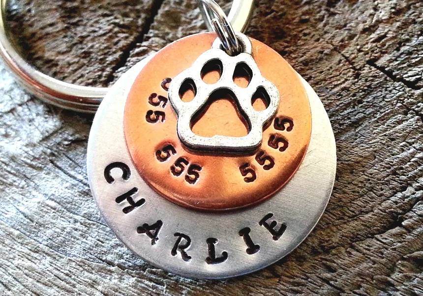 Lookipet's Best Custom Dog Tags for Active Pets
