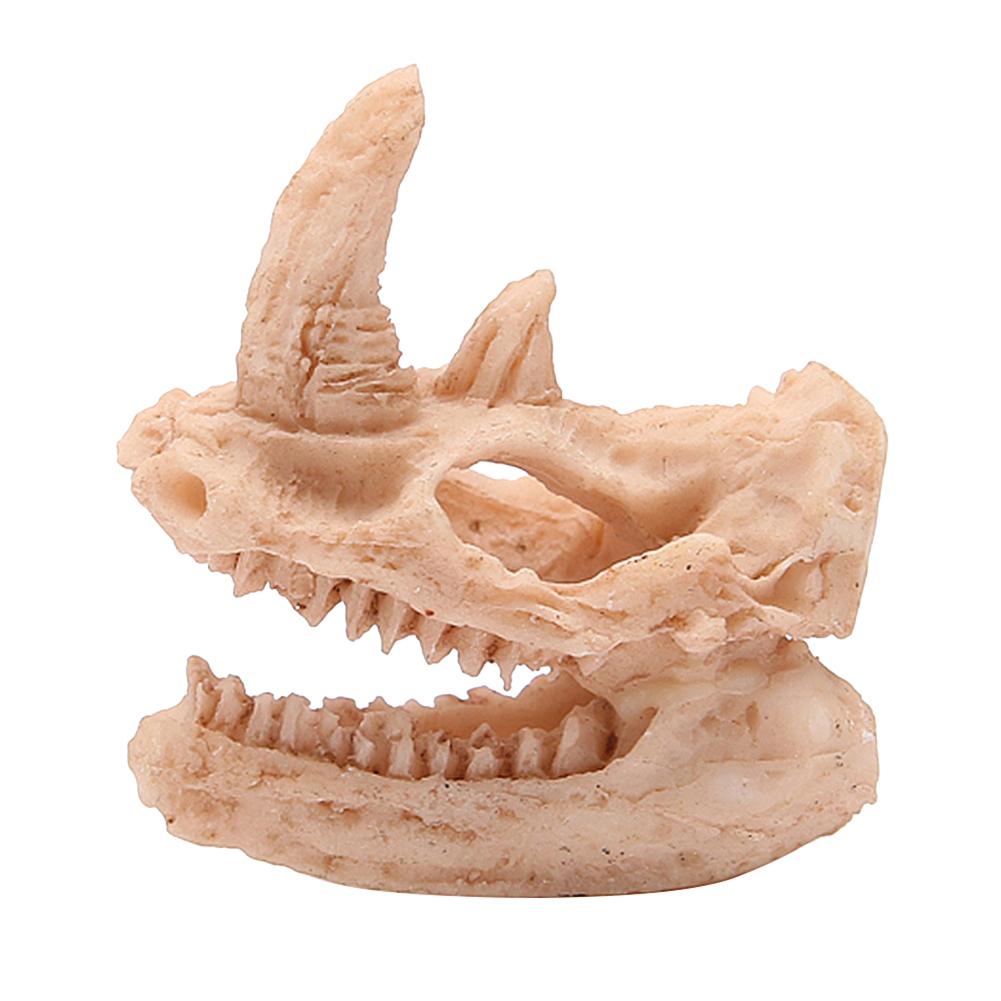 Dinosaur Skull Resin Sculpture Statue Skeleton Model Fish Tank Ornaments, 501 Original
Dinosaur Skull Resin Sculpture Statue Skeleton Model Fish Tank Ornaments, 501 Original