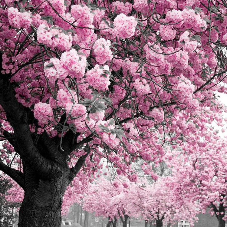 Cherry Tree Round Full Drill Diamond Painting 30X30CM(Canvas) gbfke
