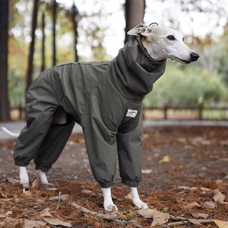 Italian Greyhound Water-proof Raincoat roarxlpet