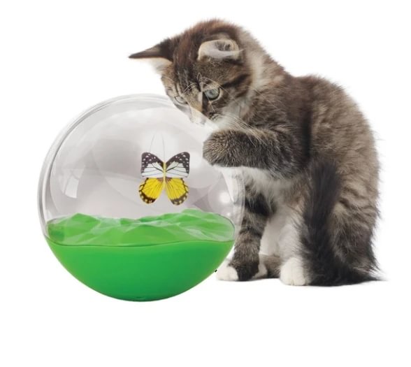 butterfly ball