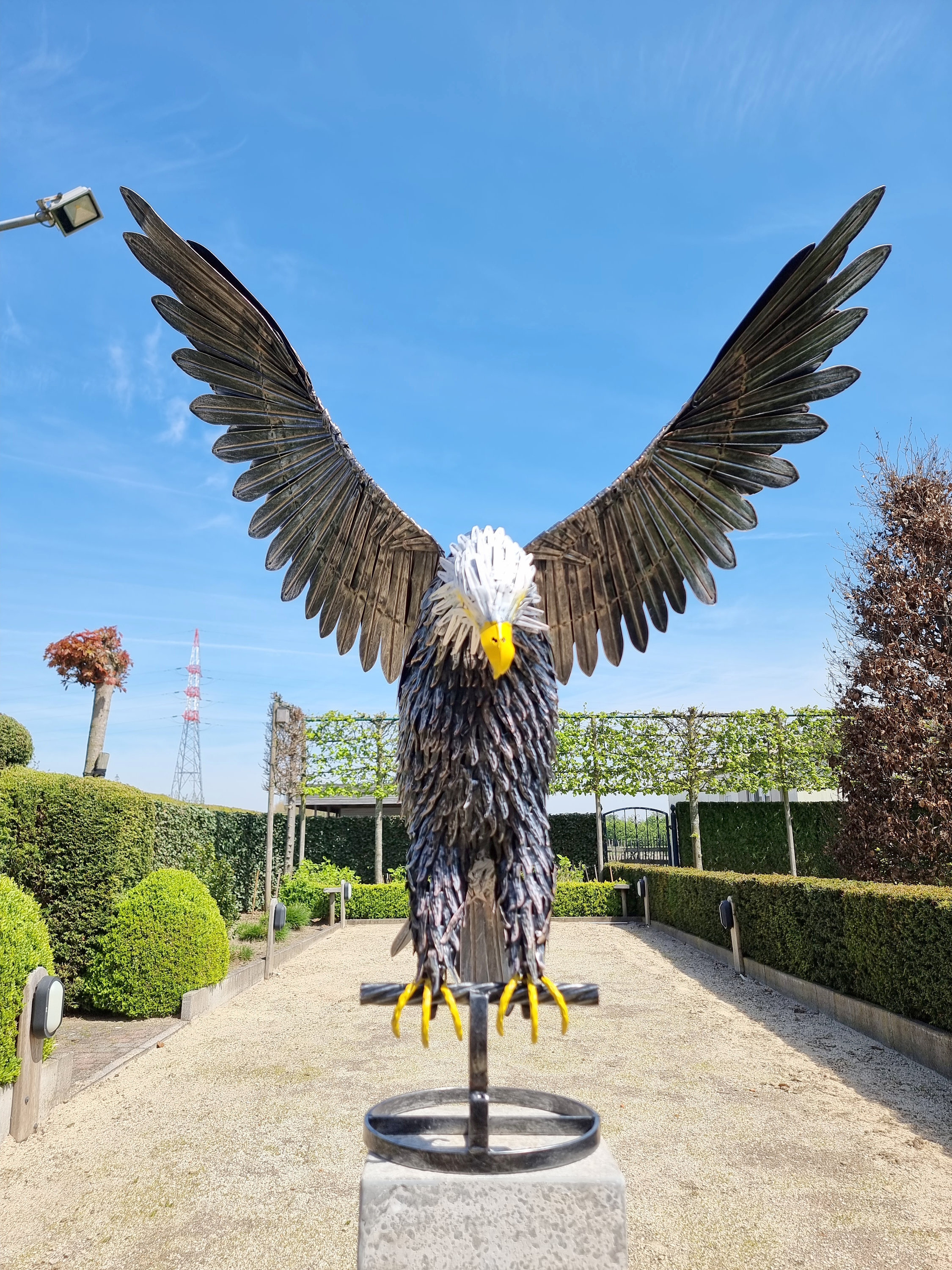 Large iron eagle Flying eagle garden sculpture Whitetailed eagle