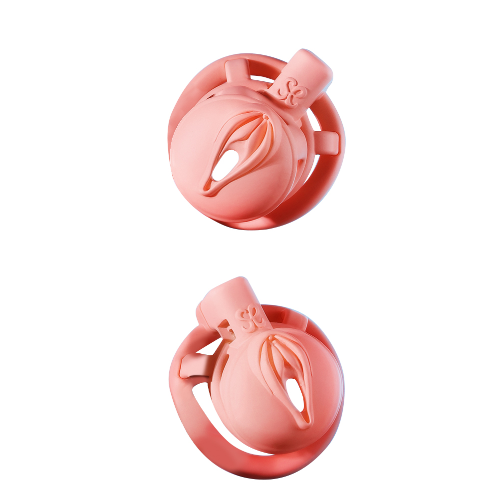 Sevanda 3D Printed Pink Pride Chastity Cage