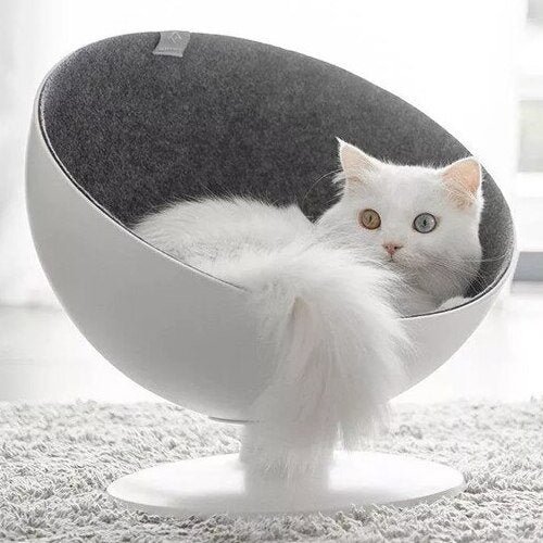Cool Cat Bed