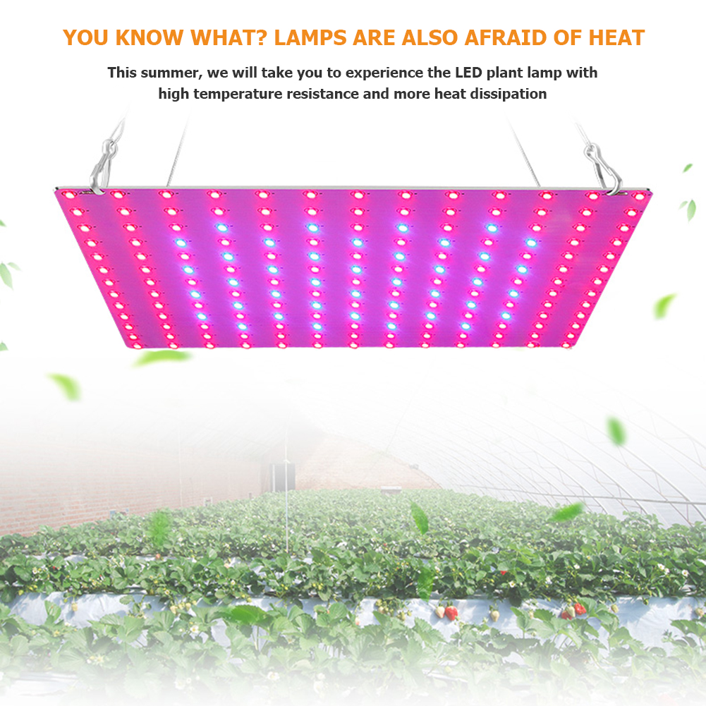 169 LED Growth Light Panel Blue Red Spectrum Indoor Hydroponic Plant Lamp, 501 Original
169 LED Growth Light Panel Blue Red Spectrum Indoor Hydroponic Plant Lamp, 501 Original