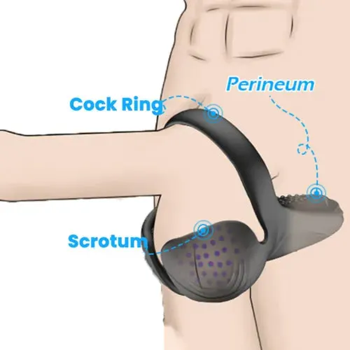 pornhint Pornhint Penis Scrotum Massager Vibrator Cock Ring Sex Toys Men Delay Perineum Stimulator