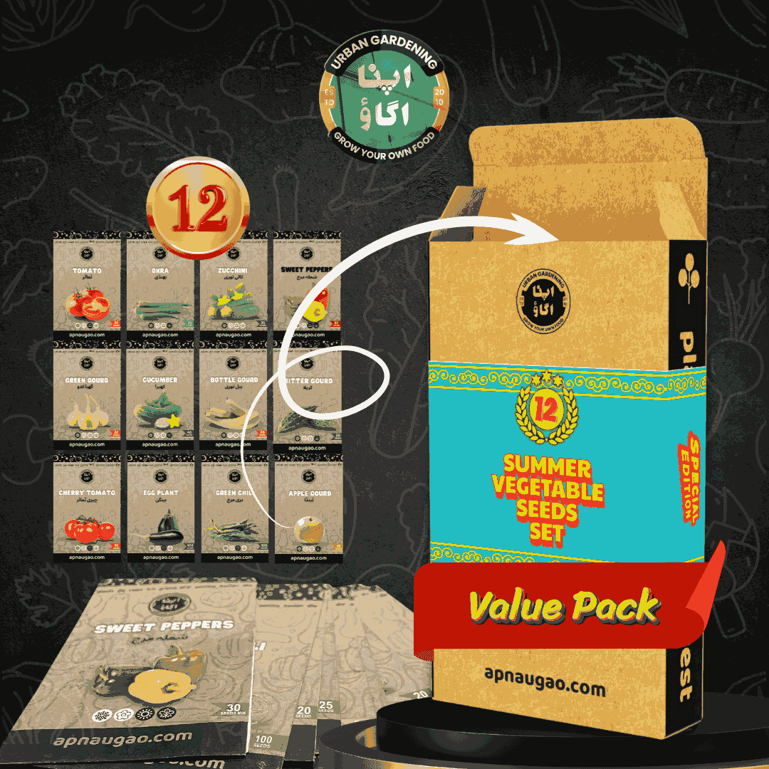 Desi Summer Vegetable Seeds Bundle - 12 Vegetable Packs