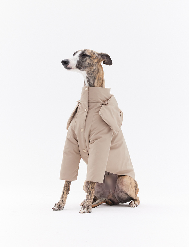Luxury Italian Greyhound Detachable Down Jacket roarxlpet