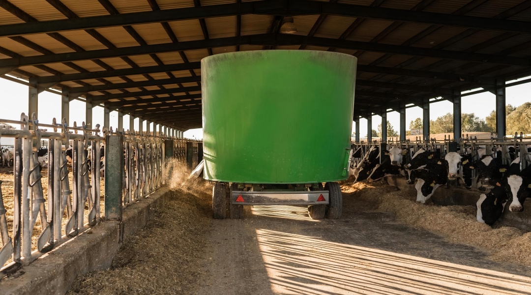 Total Mixed Ration (TMR) Feed Mixer