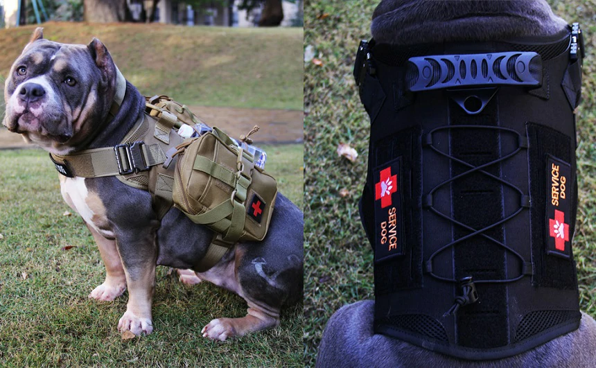 How a Tactical Dog Harness Helps Communicate Your Service Dog’s Job and Improve Etiquette