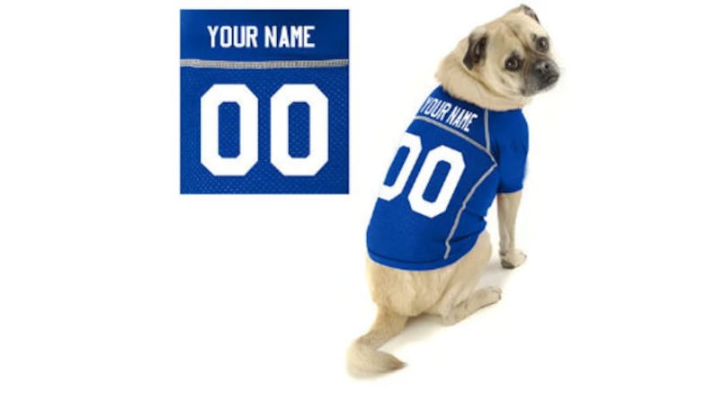 Nfl dog fashion jersey custom