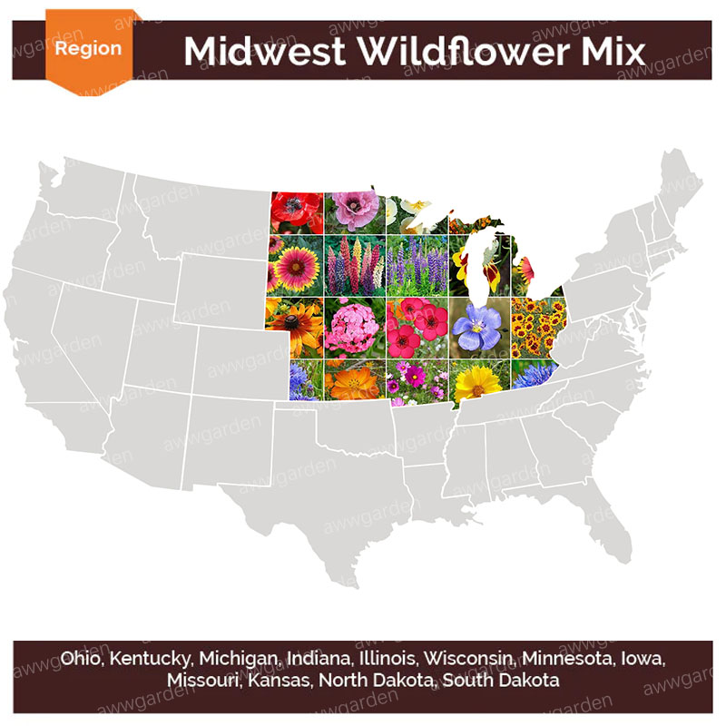 Aww Garden Midwest Wildflower Seed Mix 2499