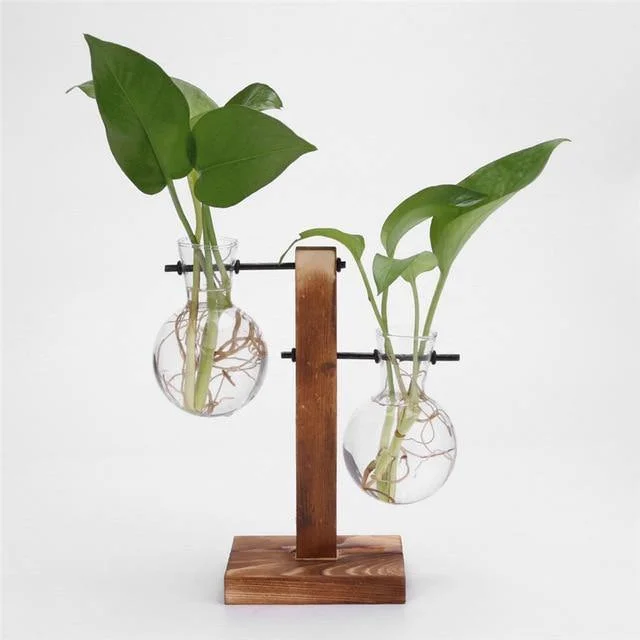 Glass Propagation Vase With Vertical Wooden Stand | AvasHome