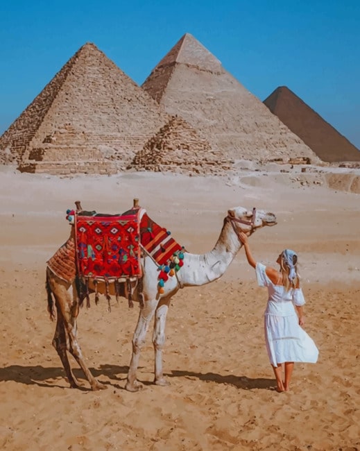 Girl And Camel In Egypt The Great Pyramid Of Giza – Paint By Numbers - 40*50CM, 501 Original
Girl And Camel In Egypt The Great Pyramid Of Giza – Paint By Numbers - 40*50CM, 501 Original
